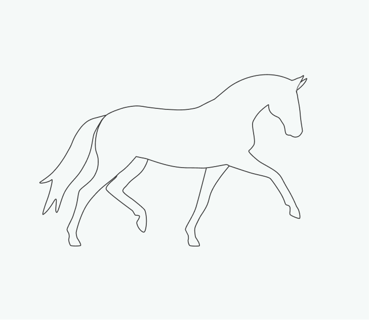 Horse illustration seen from the side