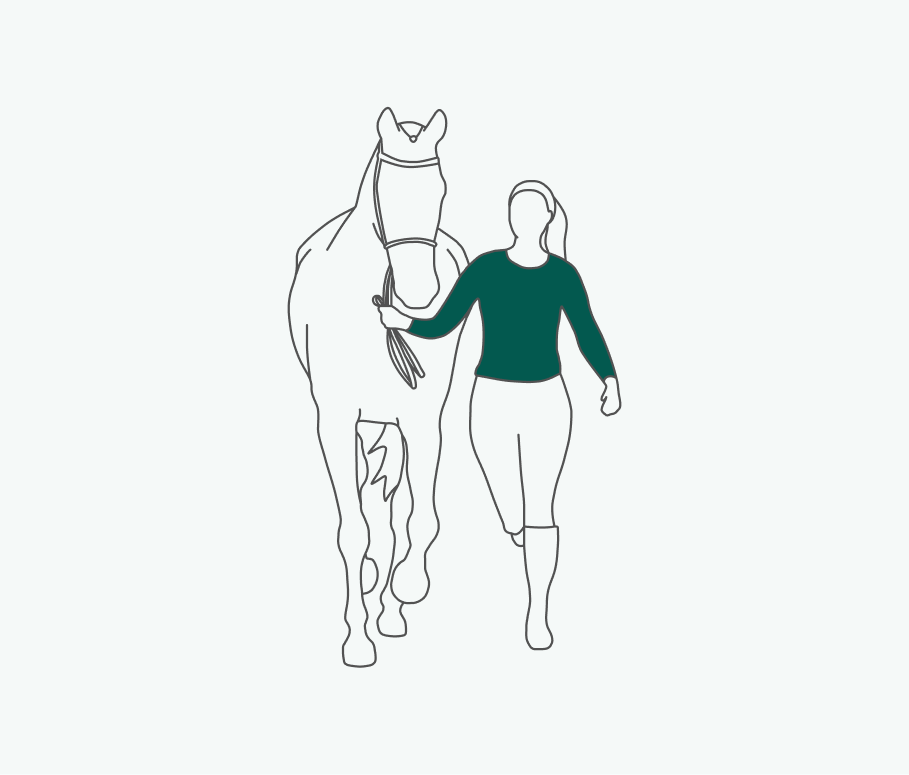 Illustration of leading a horse in a straight line for a recording