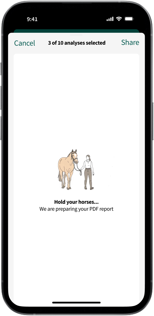 Horse illustration in app