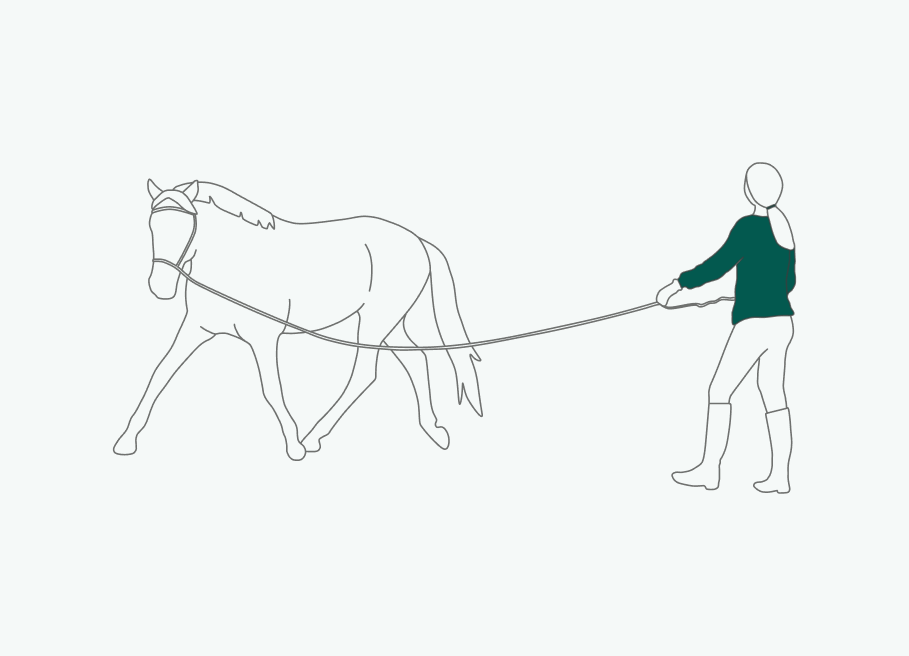 Illustration of longeing a horse for a recording