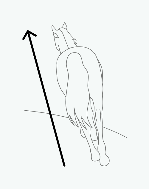 Horse illustration with direction arrow
