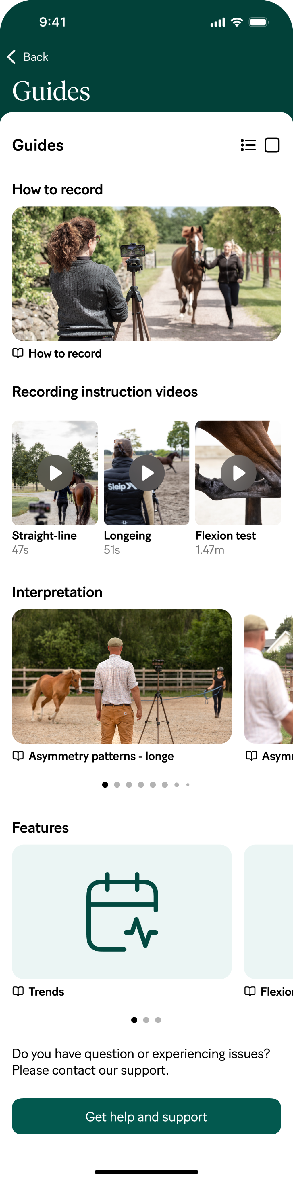 Horse with Compensatory patterns