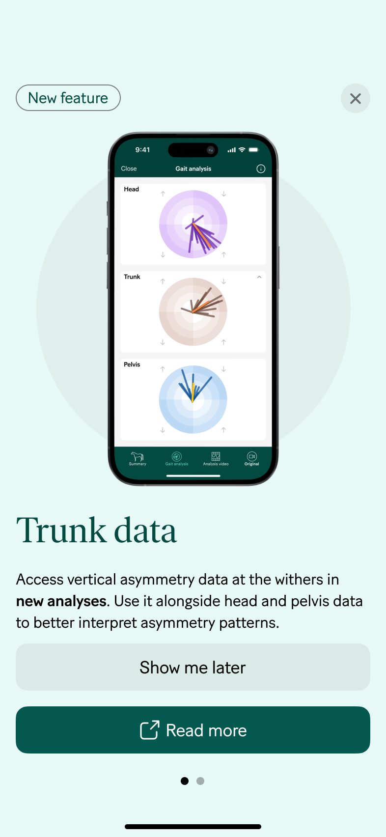 Horse with Compensatory patterns