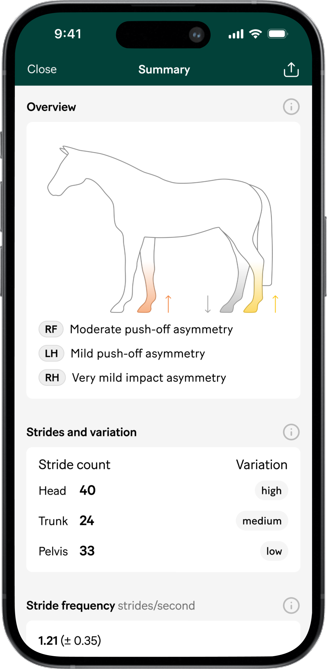 Final overview horse