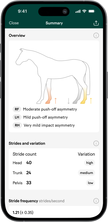 Strides and variation section